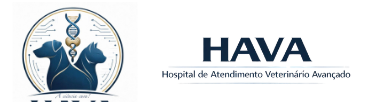 HAVA Hospital de Atendimento Veterinário